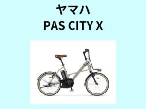 PAS CITY X