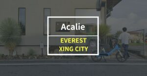 Acalie「EVEREST XING CITY」をレビュー！超強力なモーターが売りのガソリン不要の電動バイク