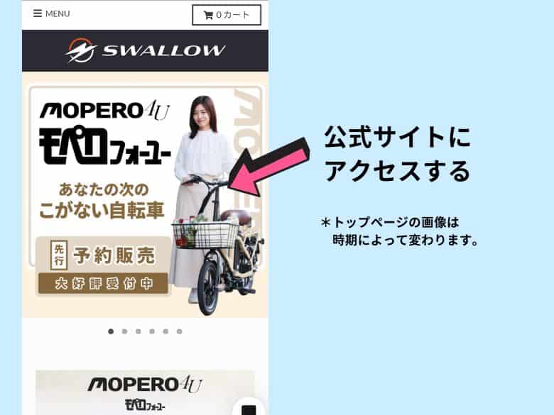 公式サイトに行く