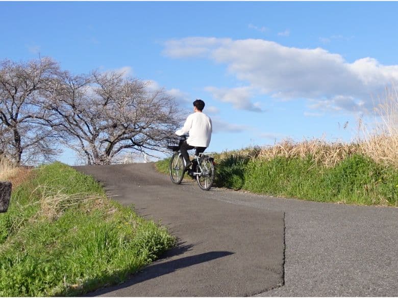 お得に買う方法