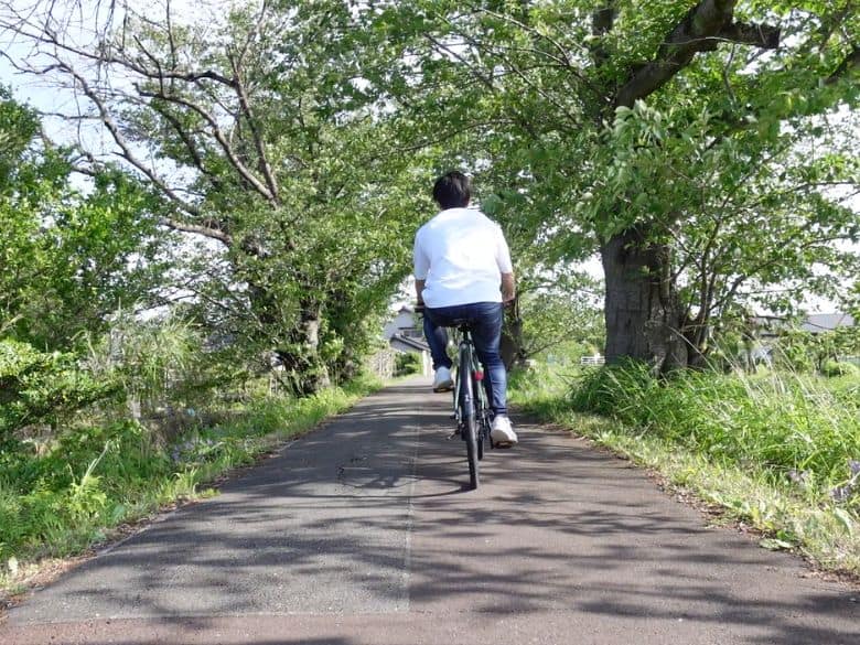 乗っていて楽しい